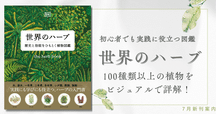 メッセゲ氏の薬草療法　モーリス・メッセゲ／著　田中孝治／監修　自然の友社 メッセゲ氏の薬草療法 モーリス・メッセゲ／著 田中孝治／監修