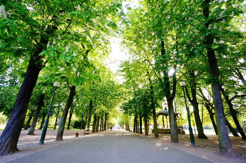 フランスのおしゃれな公園 Miki Note フランスのおしゃれな公園 Miki Note
