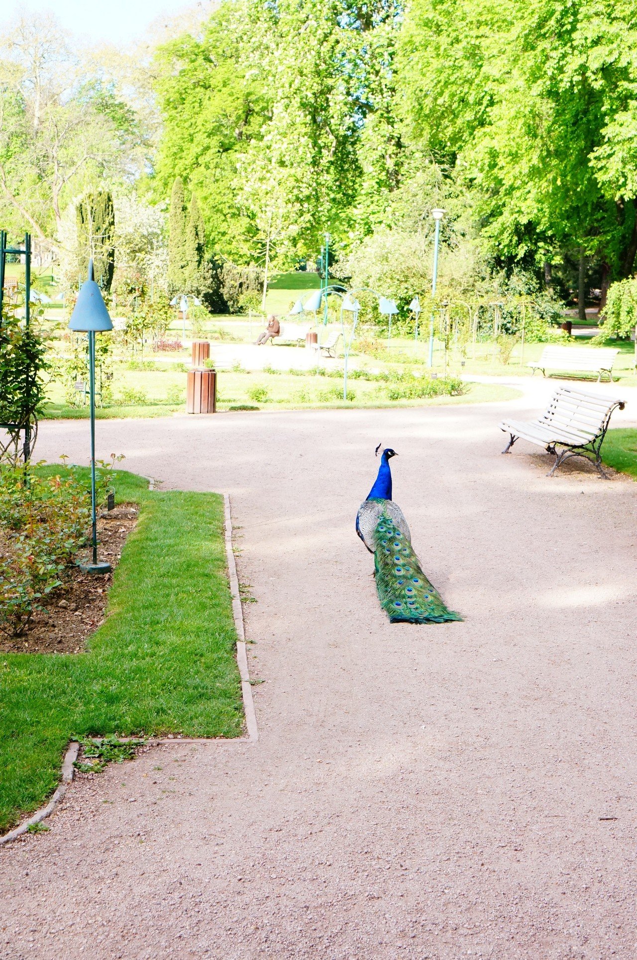 フランスのおしゃれな公園 Miki Note