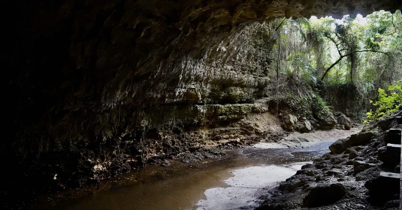 ガンガラーの谷 / Valley of Gangala(Okinawa, Japan)｜N.Hagimoto