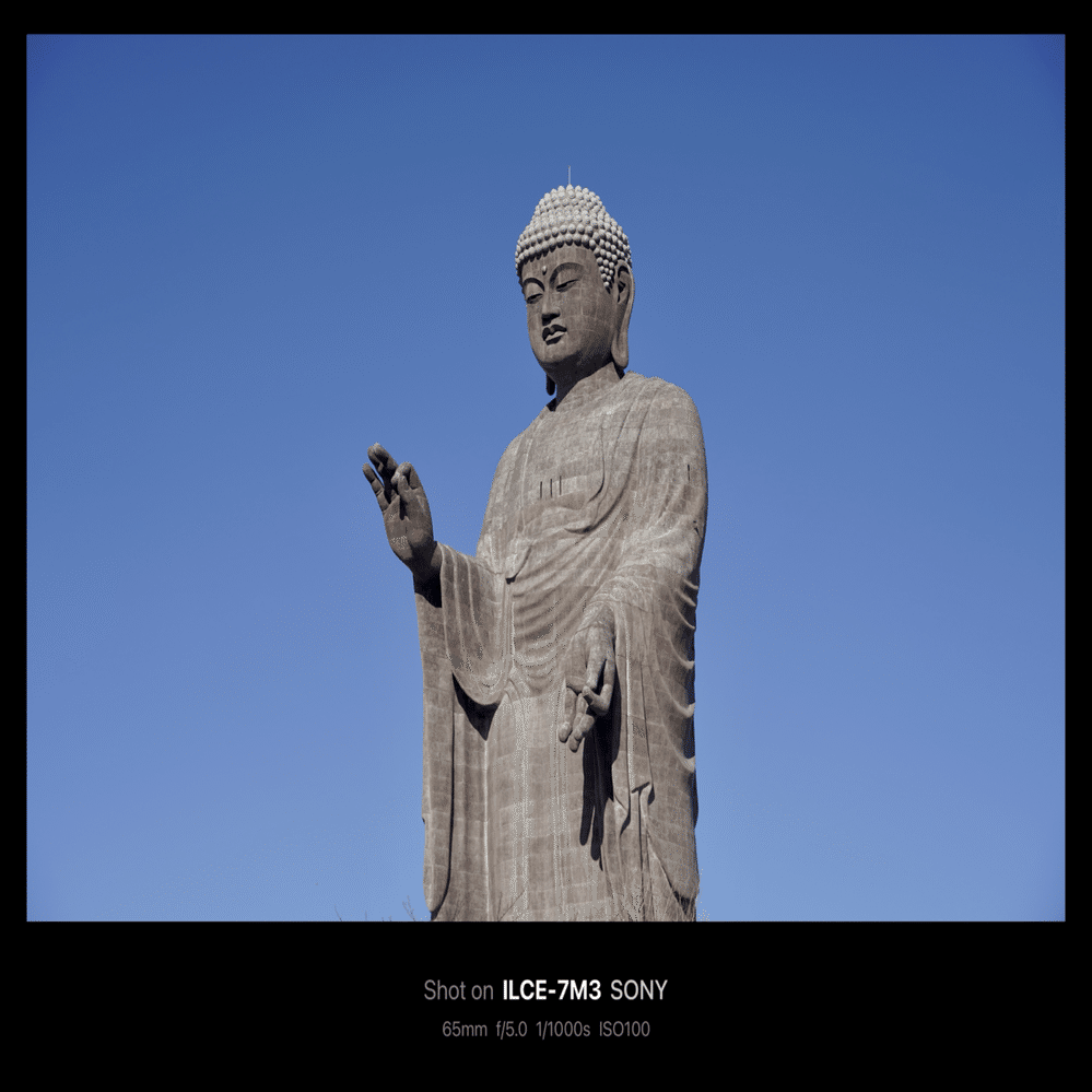 牛久大仏 / Ushiku Daibutsu Buddha Statue(Ibaraki, Japan)｜N.Hagimoto