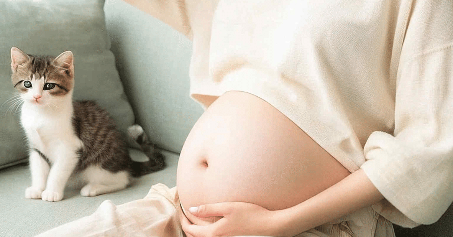 26～28週のシリコン胎児：リアルな未熟児モデル、NICUギフト - Etsy 日本, image size:1536x804