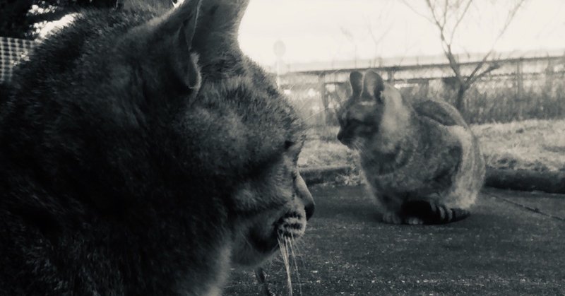 わかりやすい恋 の新着タグ記事一覧 Note つくる つながる とどける わかりやすい恋 の新着タグ記事一覧 Note つくる つながる とどける