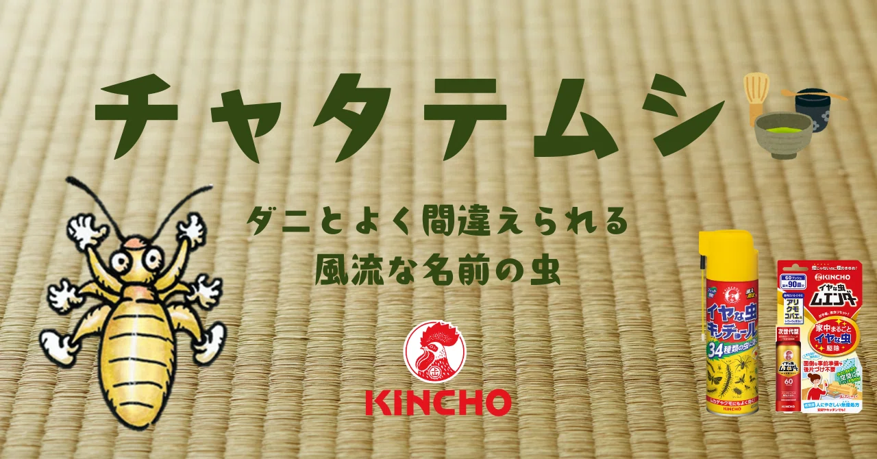 KINCHOがいちゅう豆知識 - 2025-10｜KINCHO 大日本除虫菊株式会社｜note