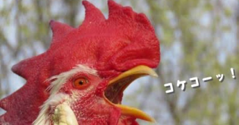 第851回 鶏の朝鳴き 翆野 大地 Note 第851回 鶏の朝鳴き 翆野 大地 Note
