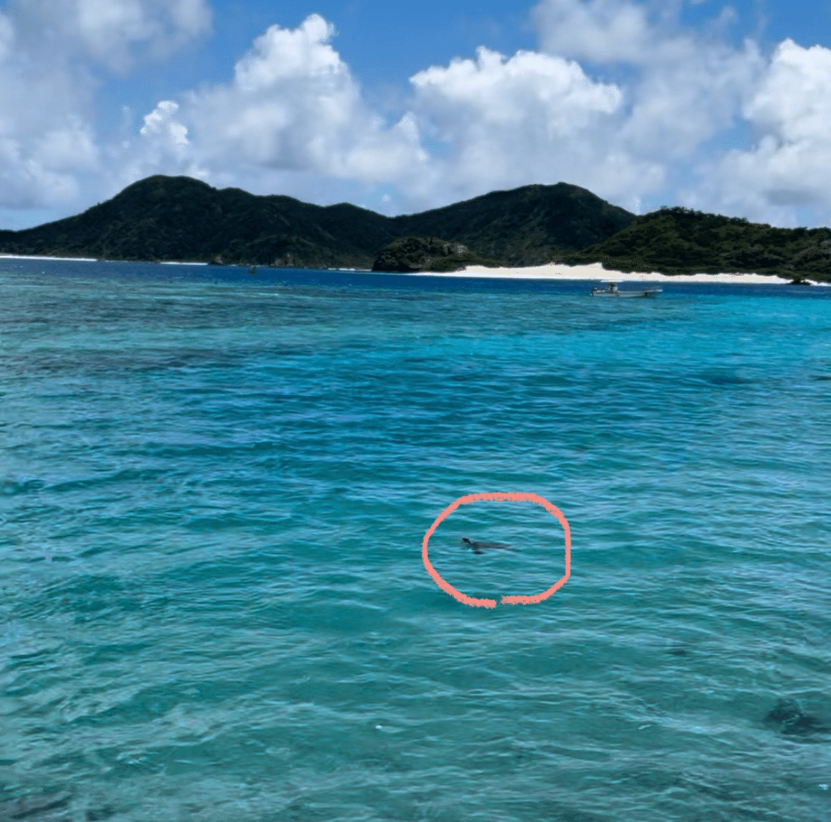 「海から月へ」 ここ知らずに沖縄は語れない。絶景すぎる秘島とは？｜moco