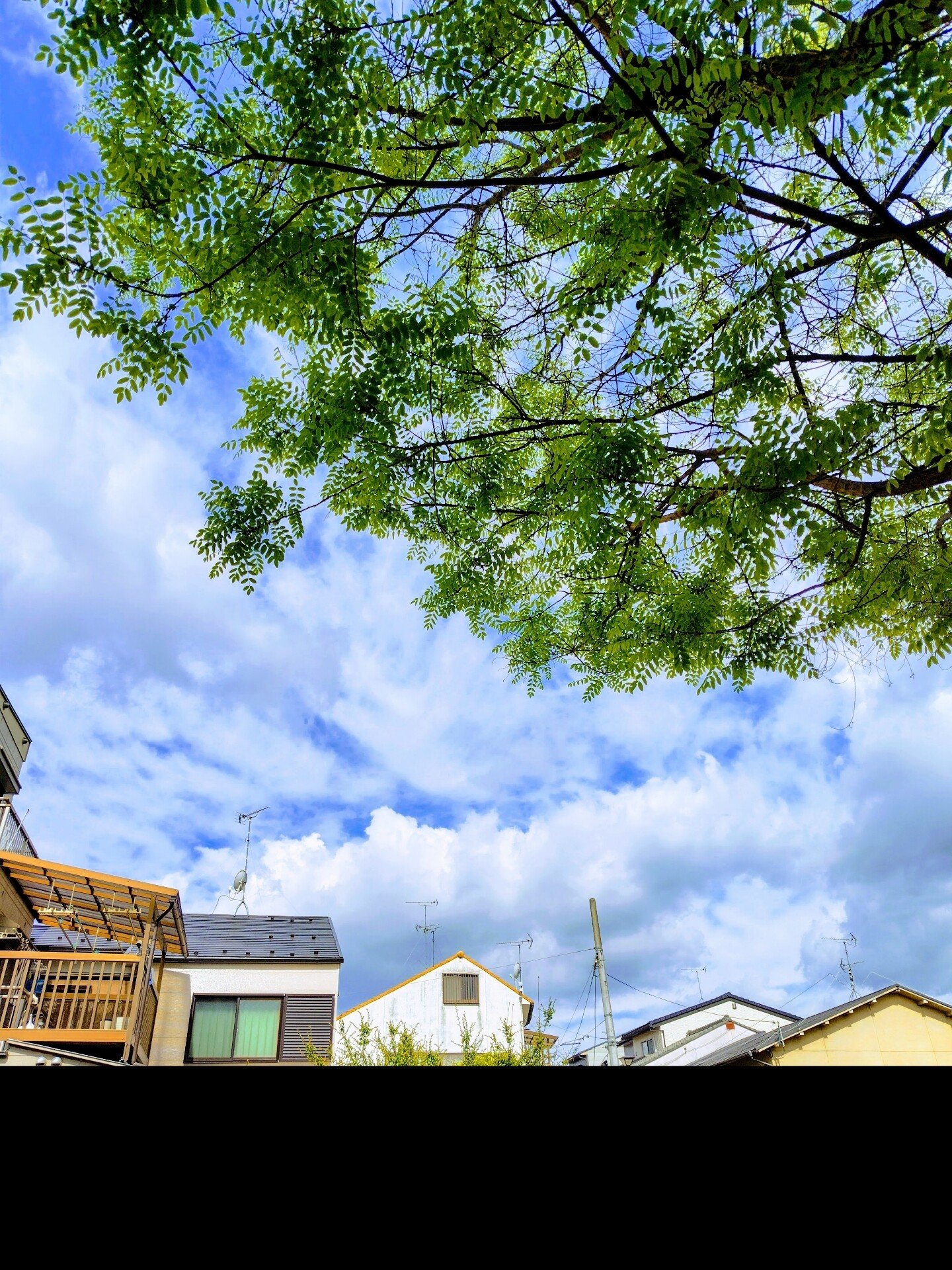 双糸　現代文研究 H-2123_senga.jpg?v=1705921145&