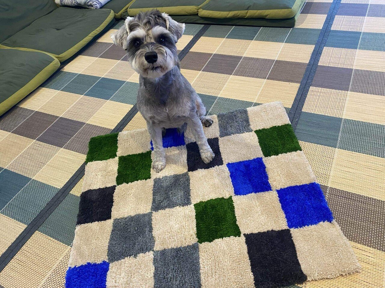 タフティング　一式　これあればすぐにはじめられる！ タフティングスターターセット – RUGMATAG