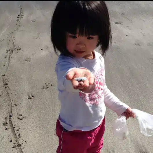 かめこ