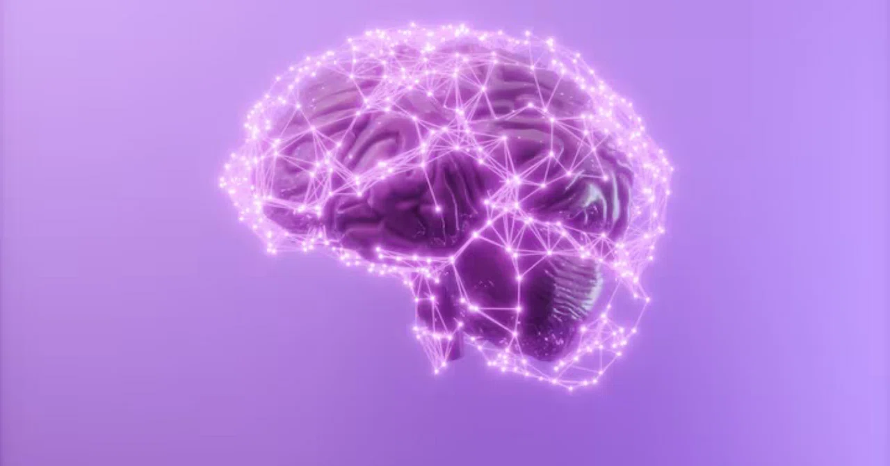 最新｜脳の健康を掘り下げる：マグネシウムの認知機能への効果を検証するレビュー