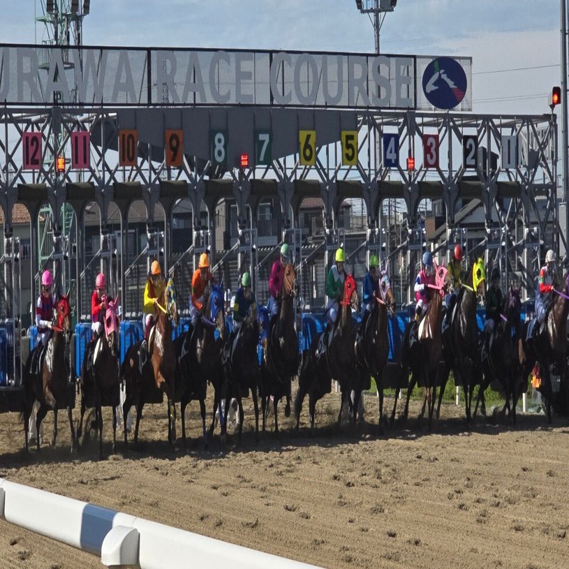 地方競馬の魅力：地域密着の熱い戦い｜あゆたろ