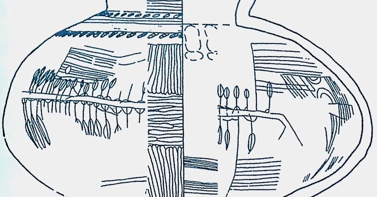 弥生土器絵画が描く船を漕ぐ櫂の支点となるカイビキ｜ヒデチャコ