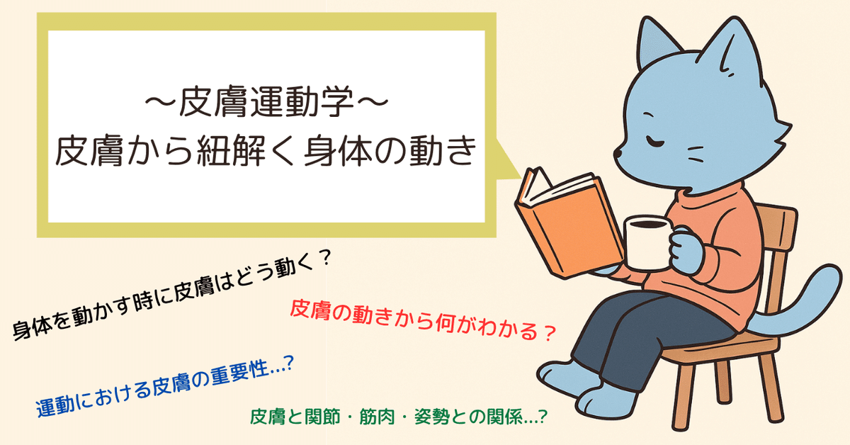 皮膚から動きをコントロールする！皮膚運動学の臨床応用～ （全８枚セット） 皮膚から動きをコントロールする！皮膚運動学の臨床応用～ 皮膚