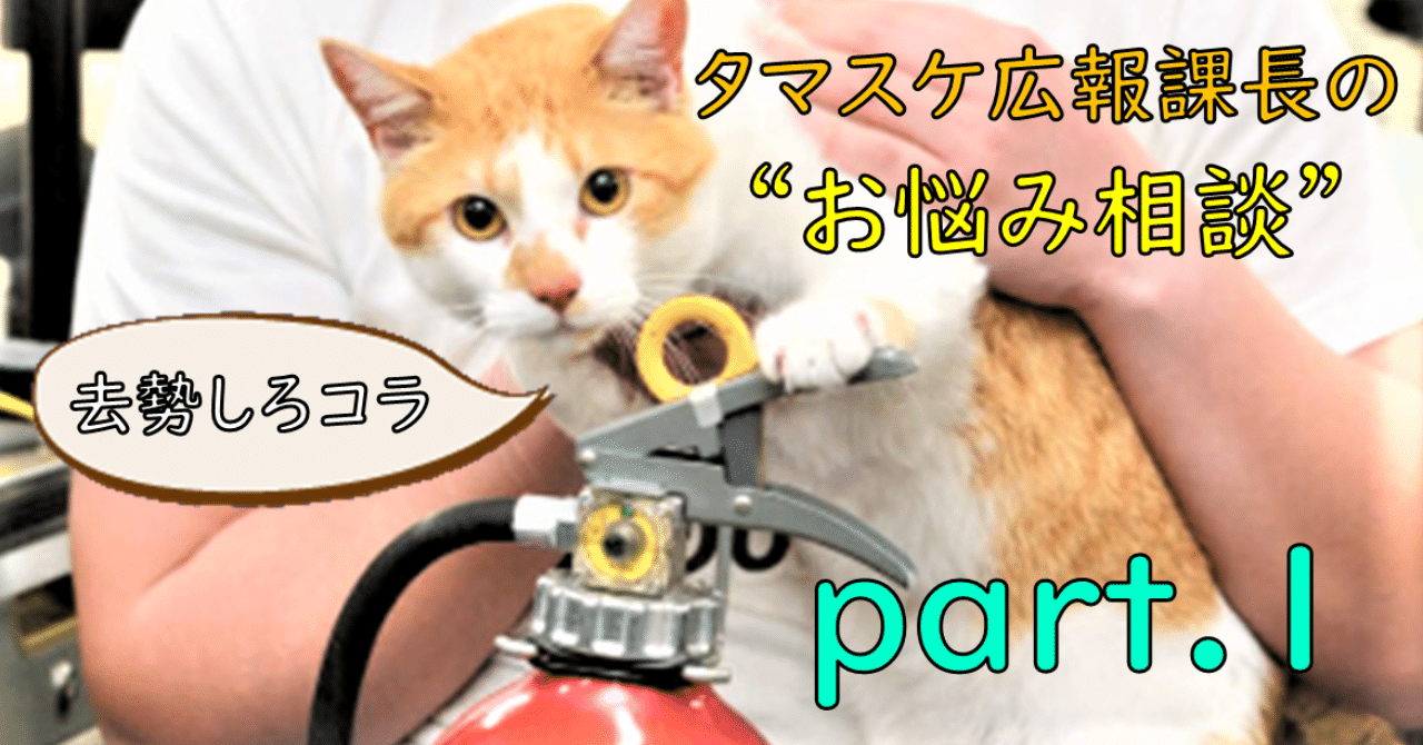 テキスト タマスケ広報課長の お悩み相談 Part 1 青木防災 公式 Note