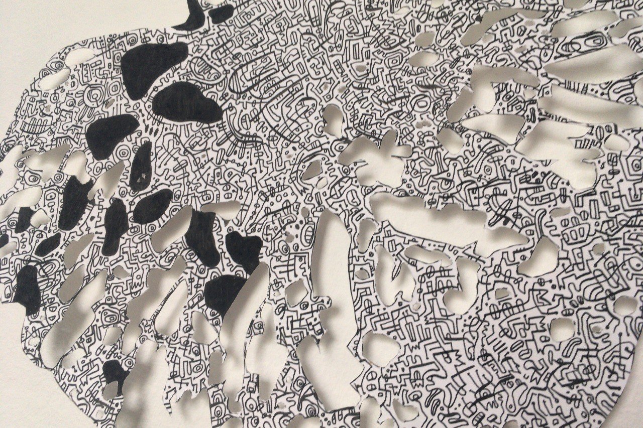 d436cd6de083393f0f290e01d6a145