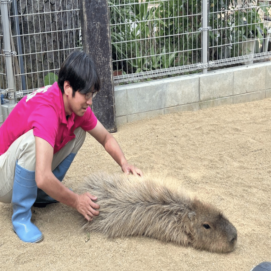 カピバラのゴロンはこういうとき助かる。｜桂浜水族館 公式