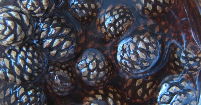 松ぼっくりって、おいしいの？｜チェブラーシカ