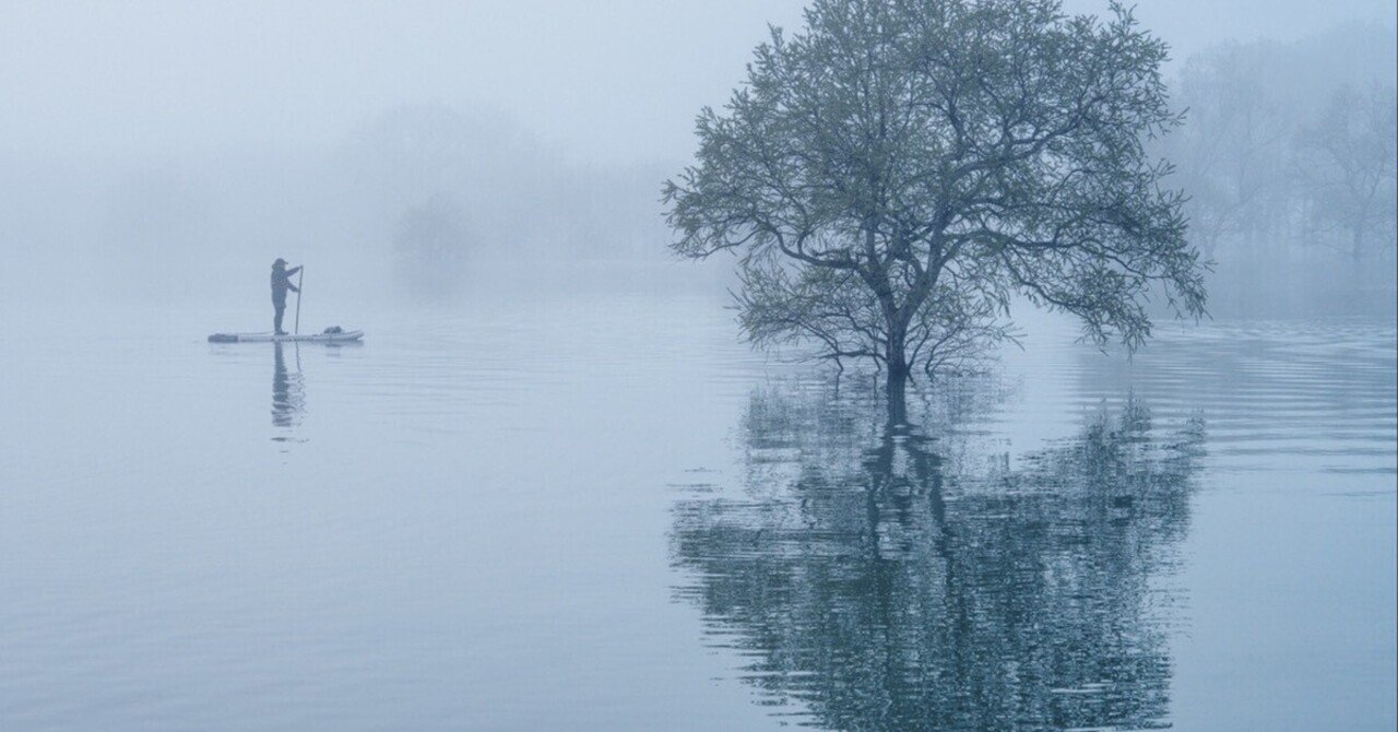 霧の日にしか撮れない風景がある──幻想を撮るための天気予測術｜Negi