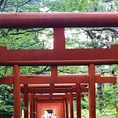 【値下げ可/F50号】From Japan.【天照,須佐之男,月詠】 月読命（ツクヨミノミコト）｜マクラメ神社やおよろず