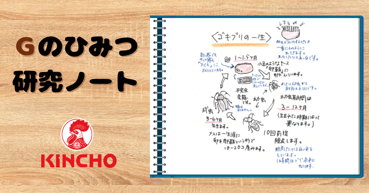 Gのひみつ研究ノート～相手を知ると、対策も立てやすい｜KINCHO