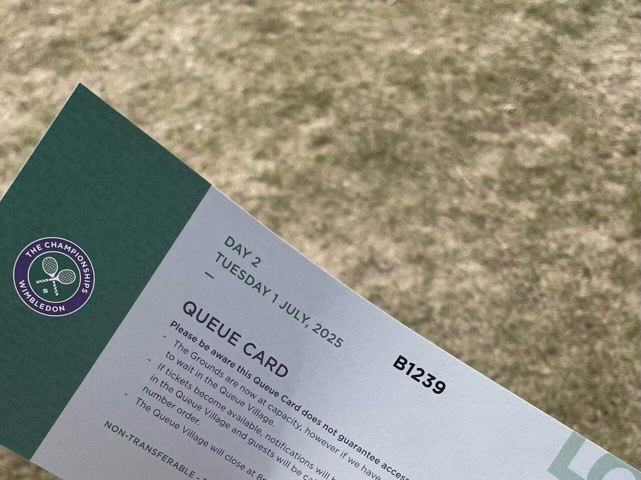 夕方からふらっとウィンブルドンテニス観戦2025！🎾｜ひいら