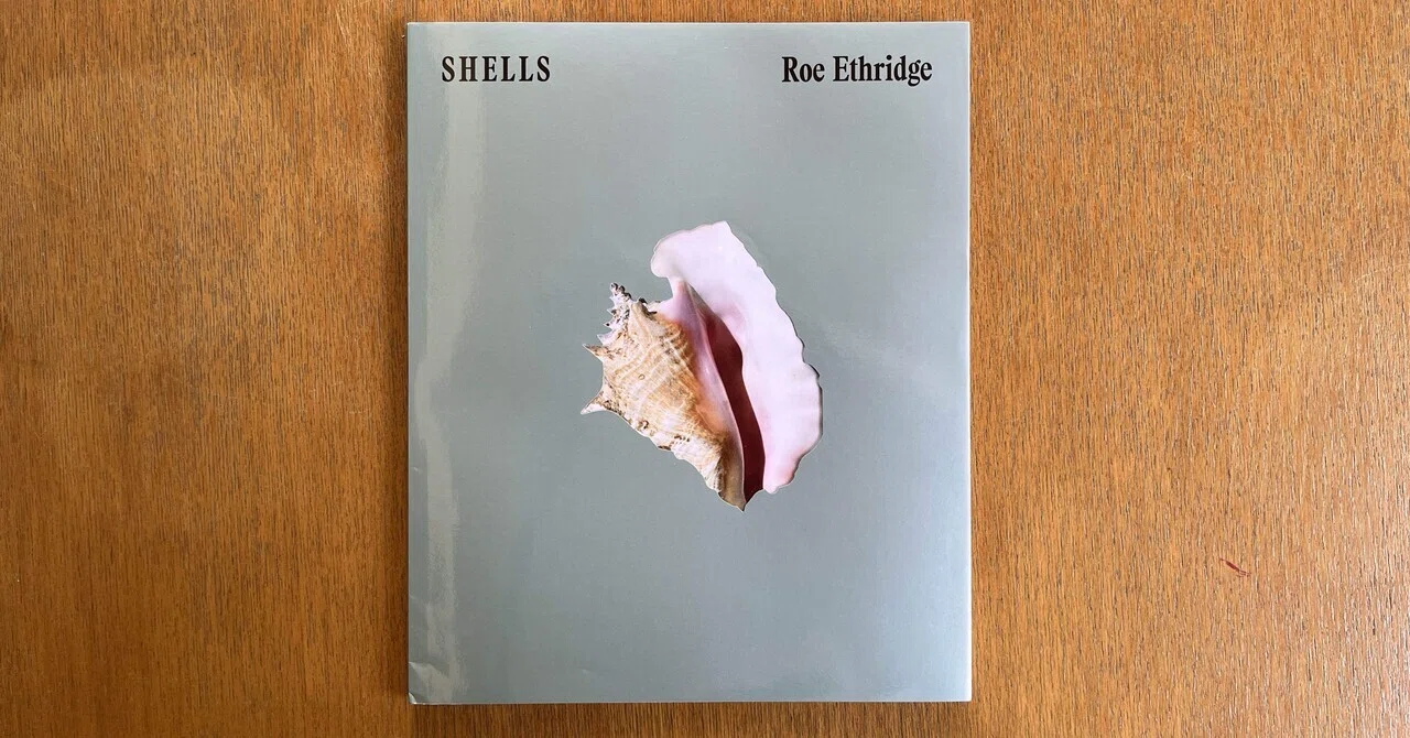 Roe Ethridge – Shells｜IDEABOOKS JAPAN