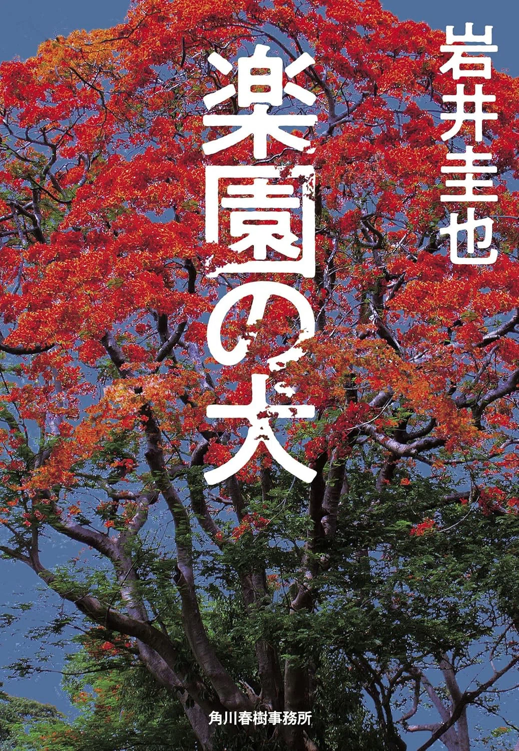 Introduction to 15 Novelists - Keiya Iwai -｜本屋の尼子