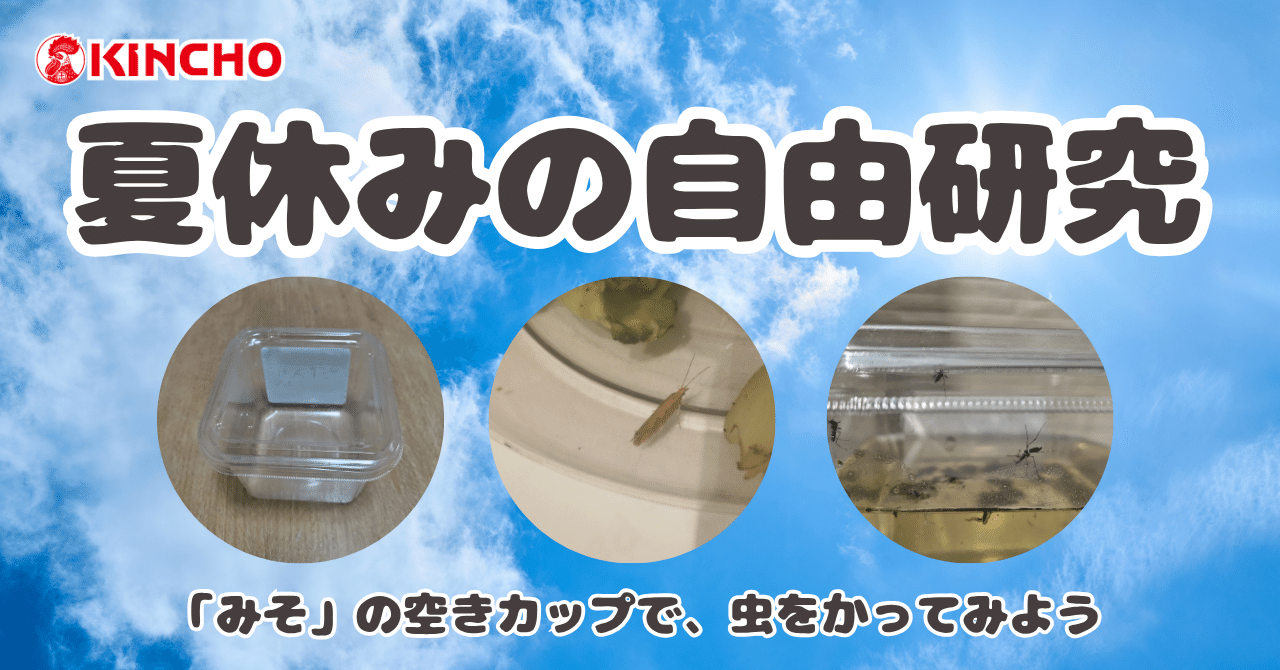 ナガシマくん　良品　虫プロ　虫コミ　スリップ葉書広告付　非貸本　わちさんぺい ナガシマくん 良品 虫プロ 虫コミ スリップ葉書広告付 非貸本 わ