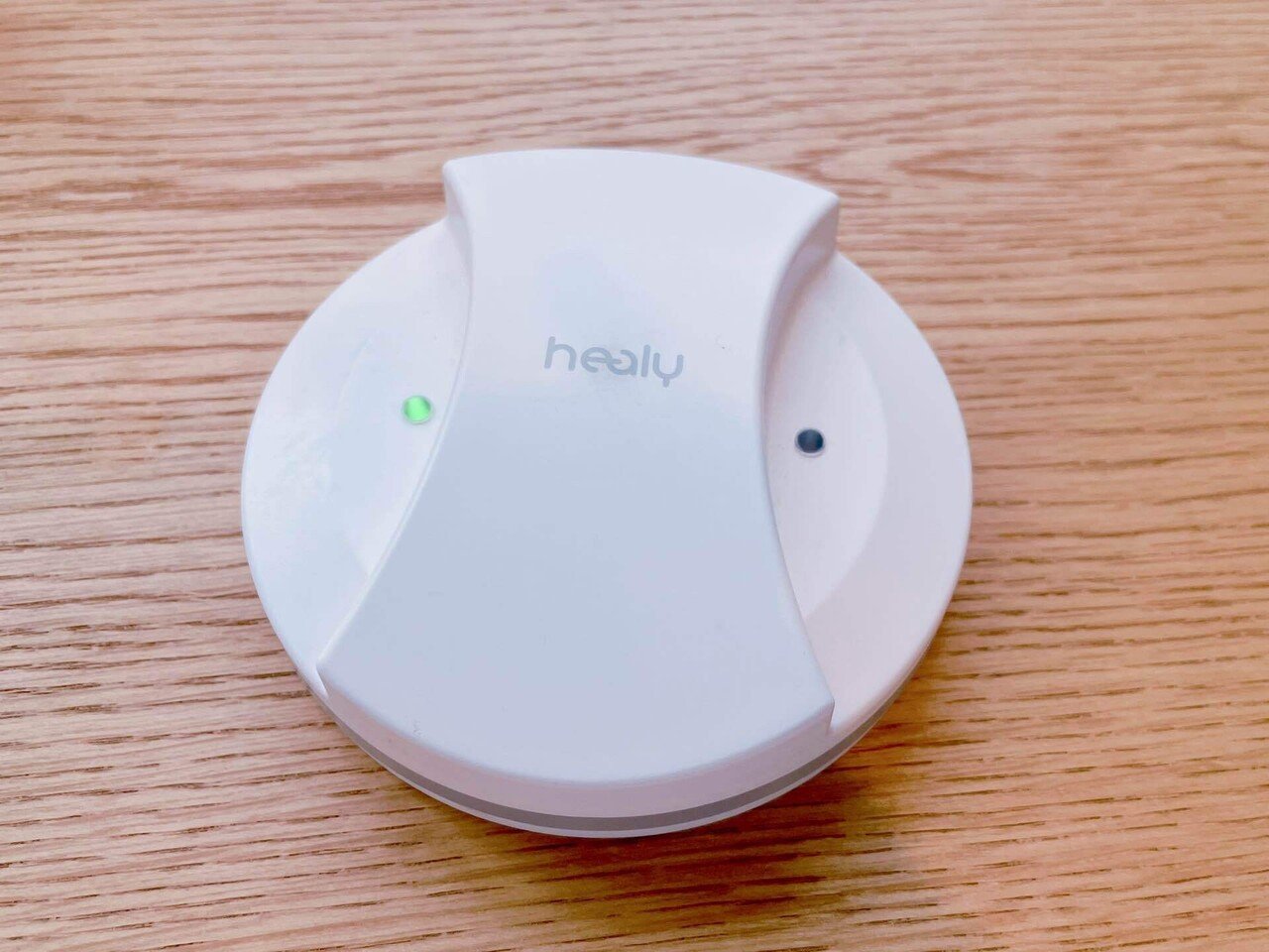 地に足をつける、わたしの相棒。-マグヒーリーが教えてくれた“空間の