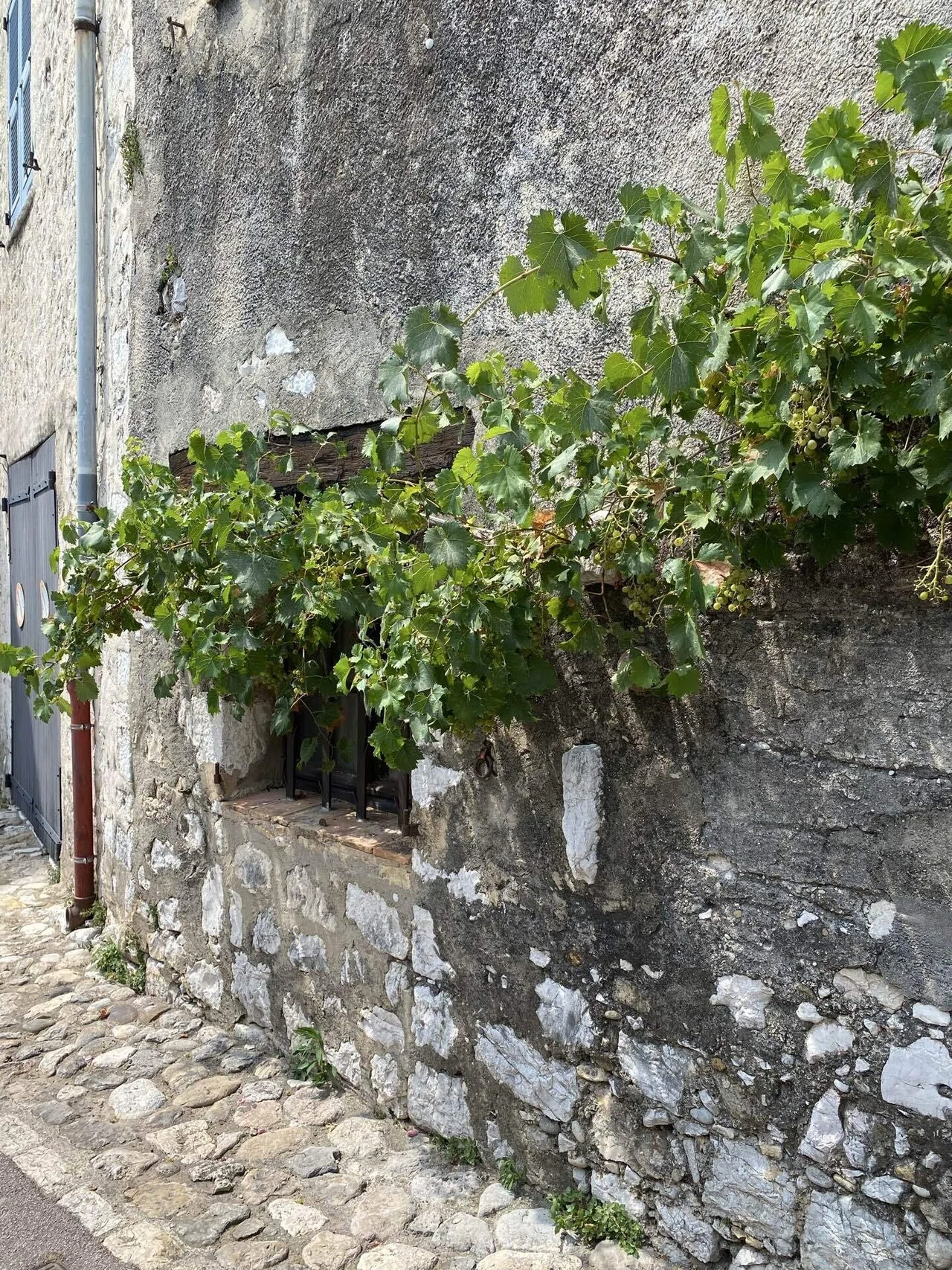 Saint Paul de Vence サン・ポール・ド・ヴァンス🇫🇷｜アラカンとZの