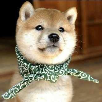 みどり