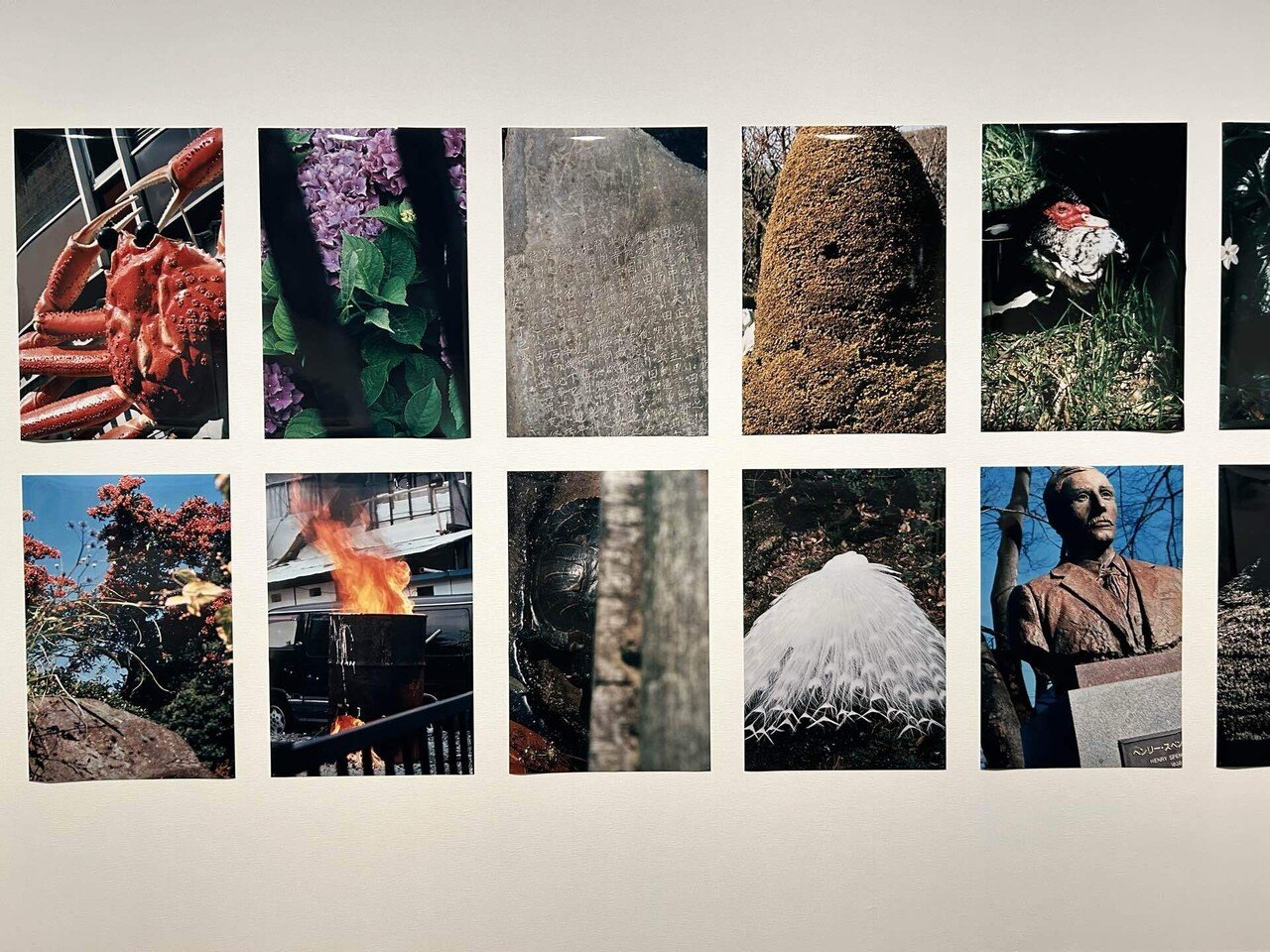 無防備なるもの」中平卓馬のカラー写真について｜山岸_慶次郎