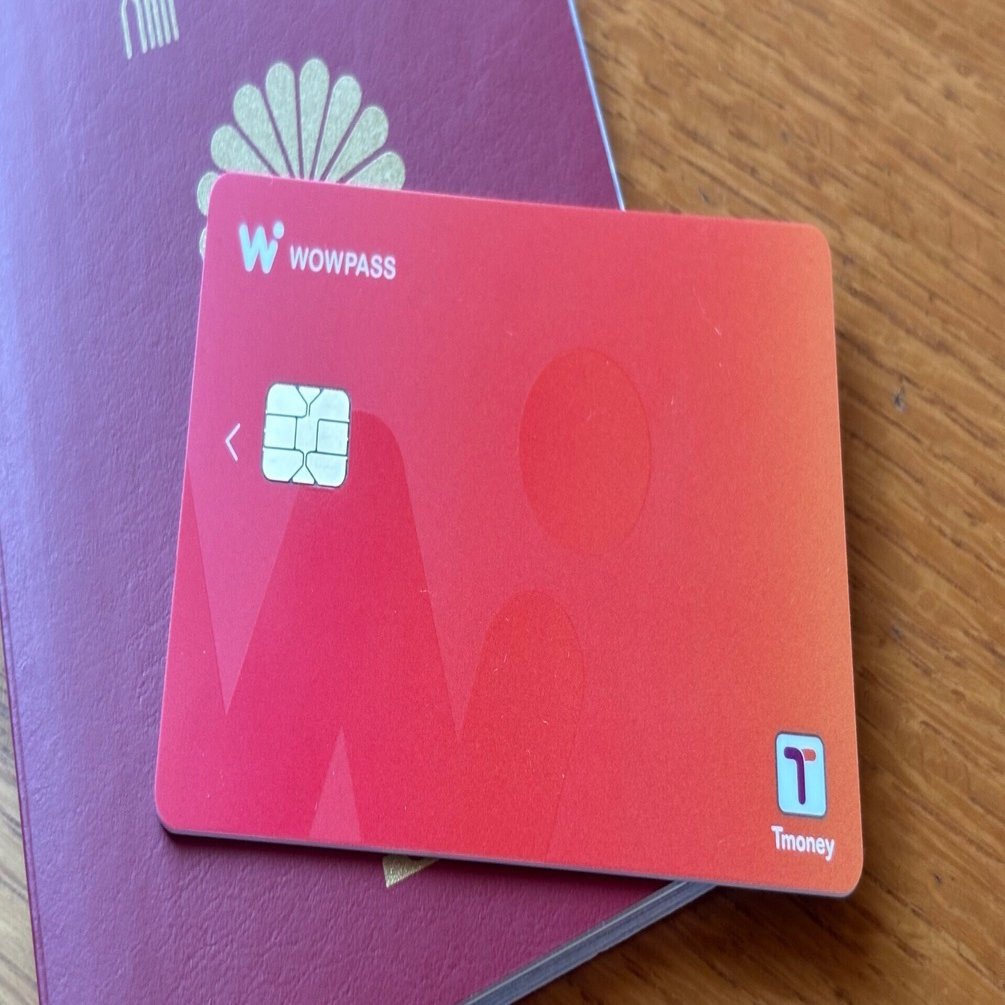 韓国〜Wowpassが便利！｜せみとり名人