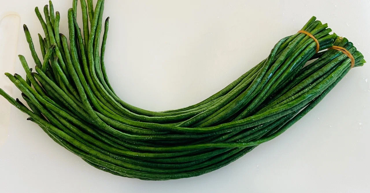 【薬膳】豆野菜でまめに暮らす|CHIZUKO i