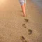 ひかりの草履
