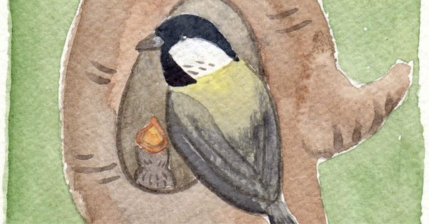 BIRDER2月号の見どころ｜ブンイチ（文一総合出版）