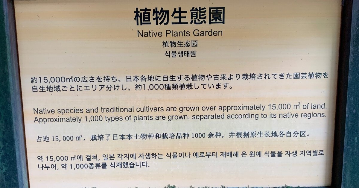 日本野生植物館 生育環境別　その他 日本野生植物館: WILD PLANTS OF JAPAN | 大場 秀章, 福田泰二