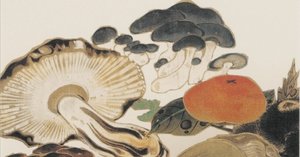 感謝祭クーポン対象】絵はがきセット〈重文 菜蟲譜(さいちゅうふ