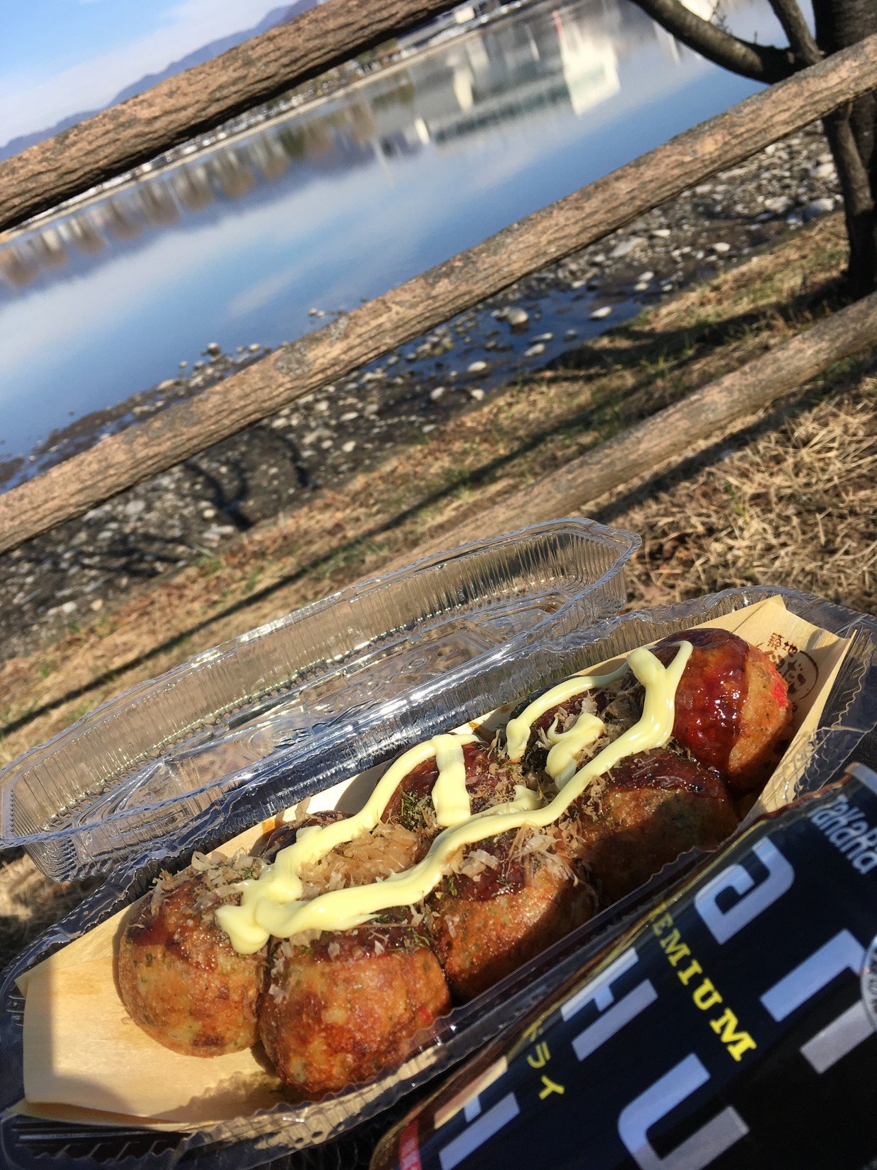 銀だこ1号店 行って近くの池で酒した記録｜ゆでたてのエビ