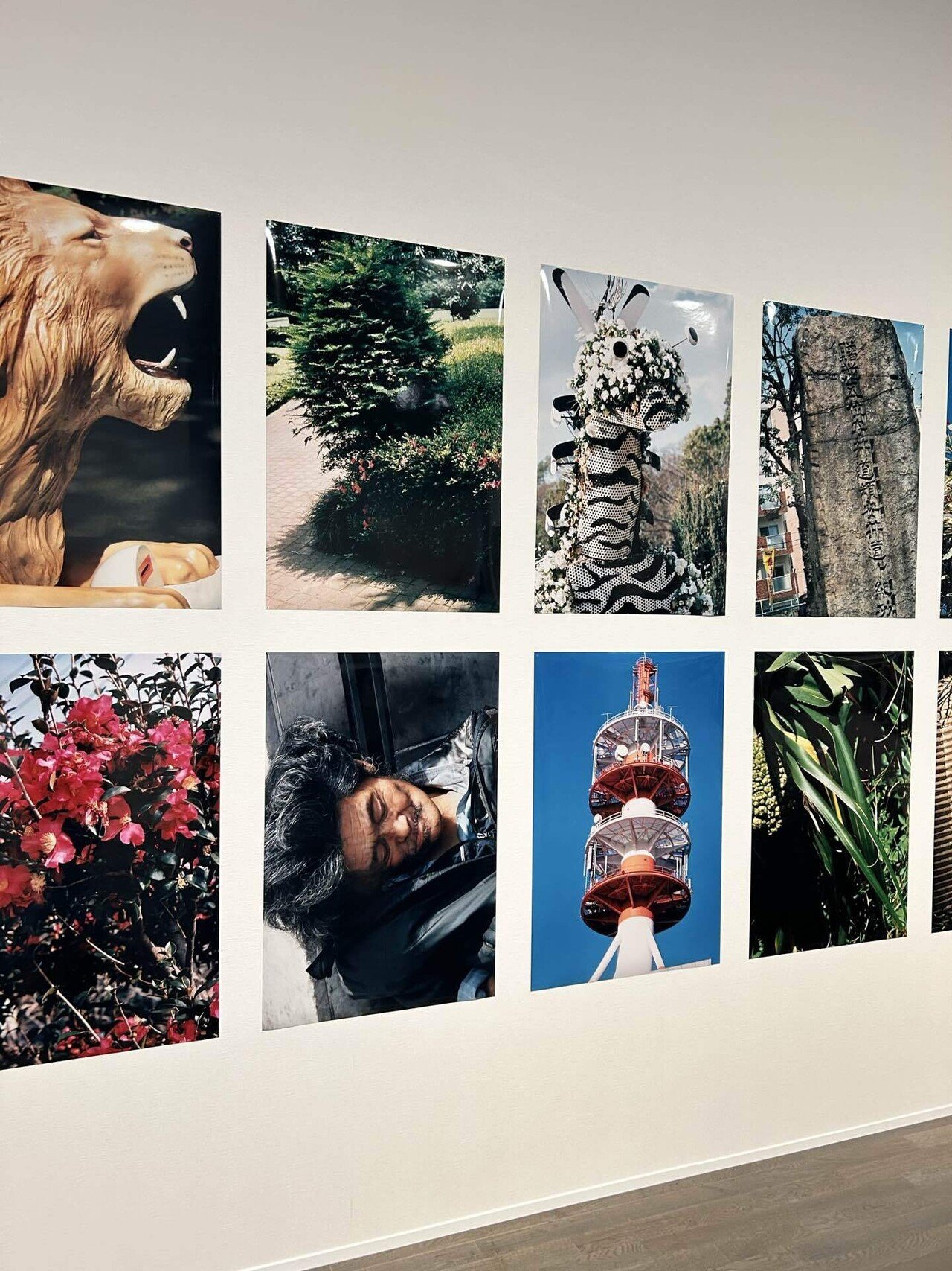 沖縄 / 中平卓馬 【600部限定】 600部限定】中平卓馬 写真集