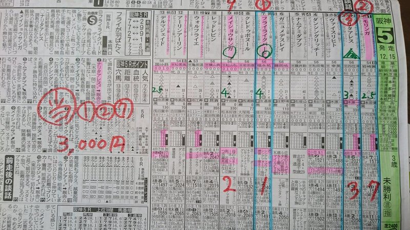 （結果）2月29日（土）阪神5R