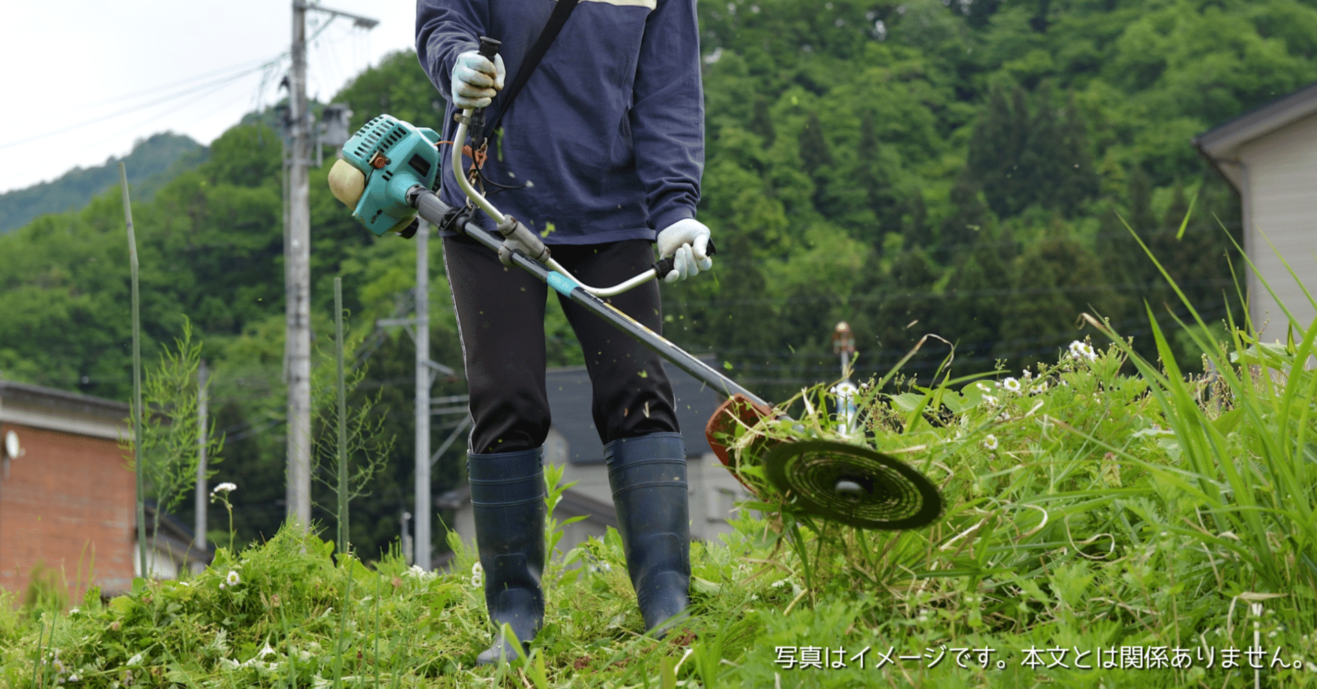 Fienowはどこの国のブランド？充電式草刈り機・芝刈り機│コードレス