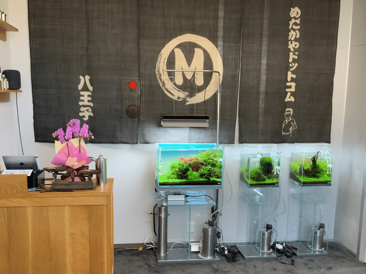 めだか販売店 有限会社フィッシュファームツボタ Note めだか販売店 有限会社フィッシュファームツボタ Note