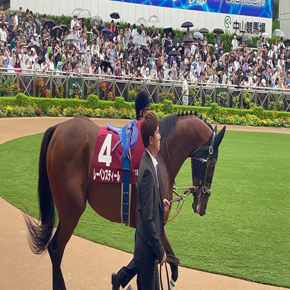 サイレンススズカ ラストラン 現地単勝馬券 第118回天皇賞秋 値下不可 サイレンススズカ ラストラン 現地単勝馬券 第118回天皇賞秋 値下不可