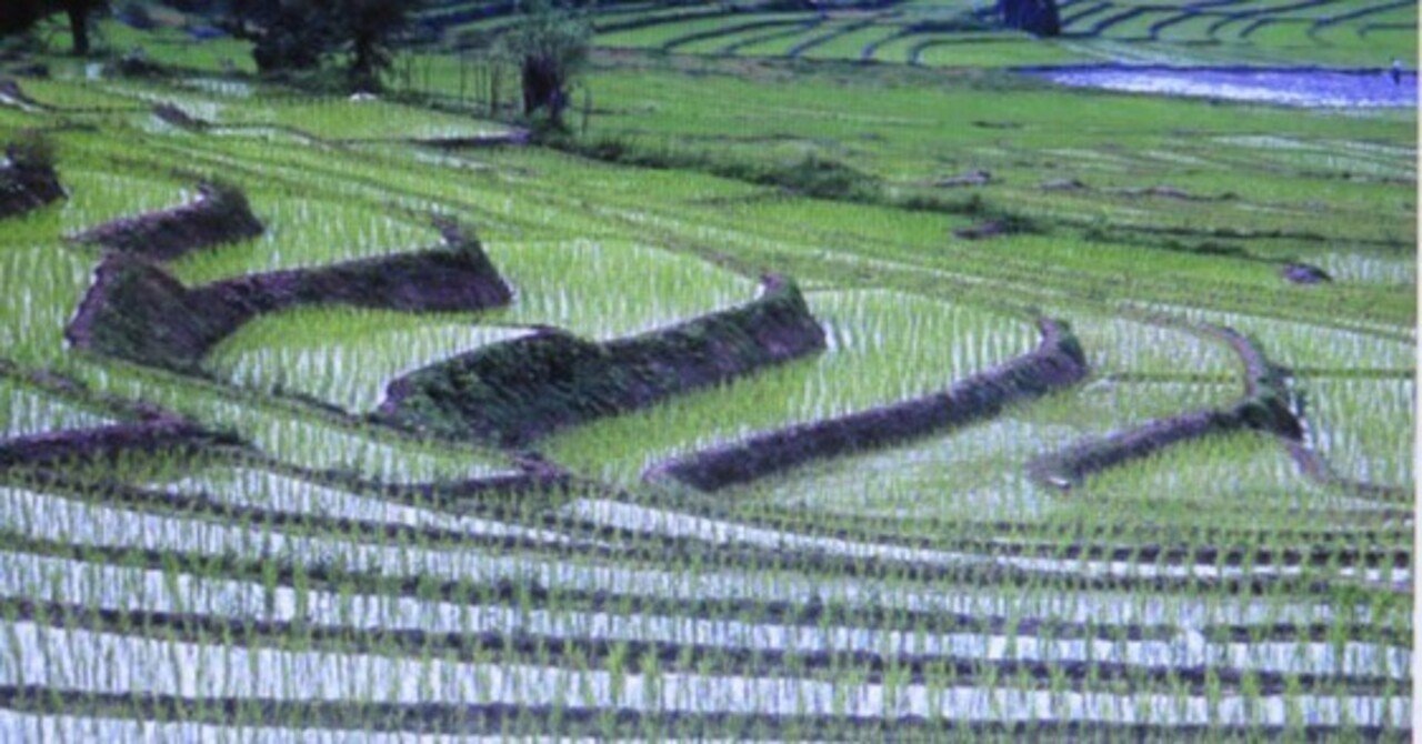 イランにも棚田があった😍｜barber 三朝温泉の梶川理髪館（おかげ