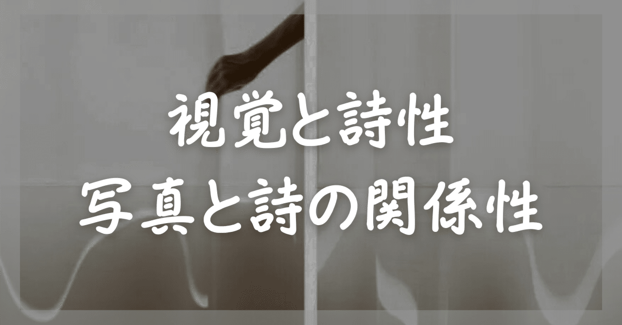 ウタ・バース】視覚と詩性：Uta Barthの写真に学ぶ｜藤本祐嗣