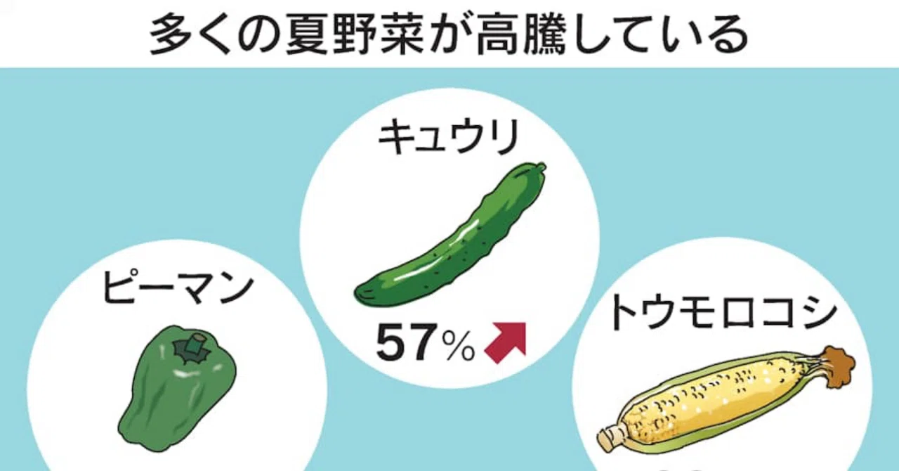 夏野菜の価格が軒並み高騰へ｜齊藤潤