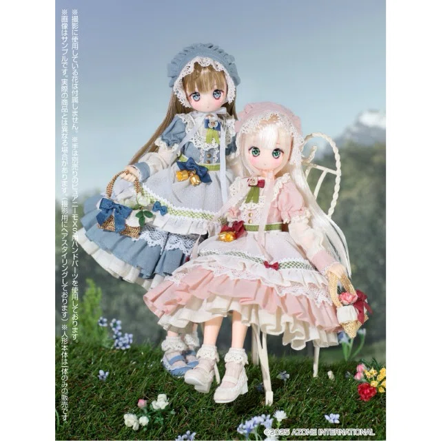 🌸可憐な花🌸がイメージの……1／6アイリスコレクトプチ Ruchiru（るちる