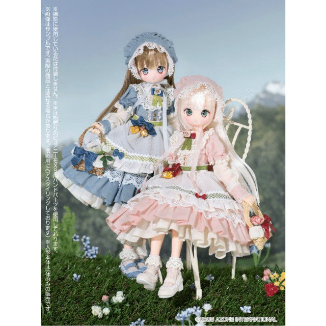 🌸可憐な花🌸がイメージの……1／6アイリスコレクトプチ Ruchiru（るちる