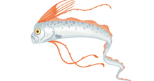 日本の「人魚」像―『日本書紀』からヨーロッパの「人魚」像の